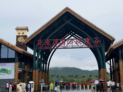 -亚龙湾国际玫瑰谷