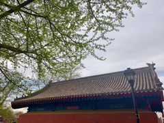-娄三少·老北京春饼烤鸭家常菜(方庄店)