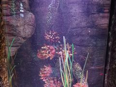 -沈阳海洋探索中心