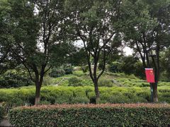 -树山生态村