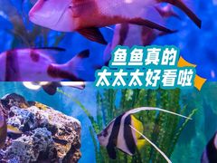 -正佳极地海洋世界