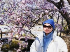 -春风习习