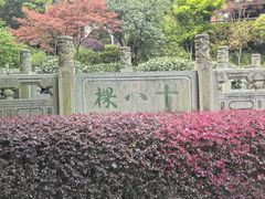 -十八棵（老龙井）御茶园(老龙井店)