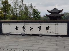 -白鹭洲书院