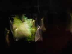 -霍顿平原国家公园