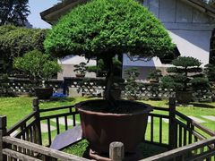 -水绘园