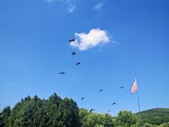 -哈尔滨北方森林动物园