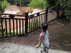 -泉州海丝野生动物世界