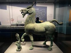 -广西壮族自治区博物馆