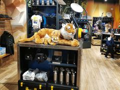 -珠海横琴国家地理探险家中心(创新方)