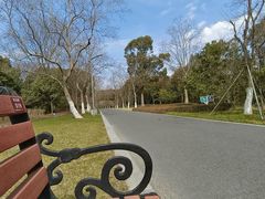 -昆山城市生态森林公园