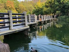 -白马涧龙池景区