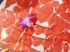 -唇辣号重庆老火锅(燕郊鑫乐汇店)