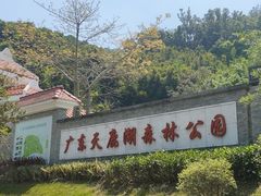 -天鹿湖森林公园