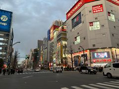 -秋叶原电器街