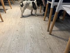 -小时光咖啡馆(北锣鼓巷店)