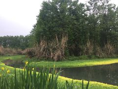 -桤木河湿地公园