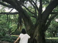 -晓港公园