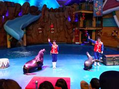 -烟台海昌鲸鲨海洋公园