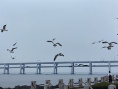 -黑石礁公园