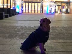 -远洋未来广场(育慧北路店)