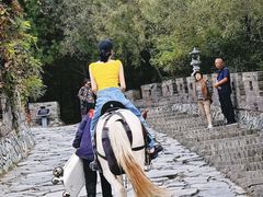 -雁门关景区
