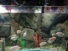 -苏州海洋馆