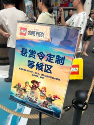 -乐高品牌旗舰店(人民广场店)