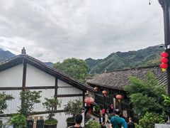 -后柳水乡