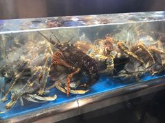 -盒马鲜生(大成店)