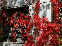 -北京国家会计学院