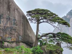 -黄山风景区