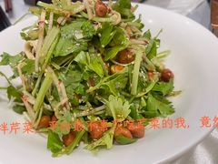 -凯鸽酒楼(操场城店)