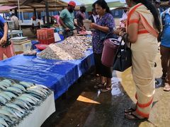 -尼甘布海鲜市场