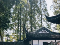 -上海醉白池公园
