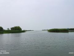 -太湖湖滨国家湿地公园-停车场