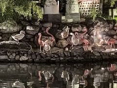 -天毓山庄·餐厅