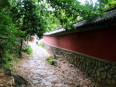 -阳台山自然风景区