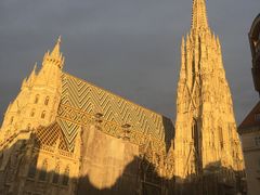 -斯蒂芬主教座堂(Stephansdom)