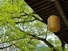 -偏岩古镇