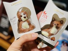 -Laderach 莱德拉(上海环贸iapm店)