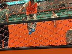 -极限PLAY运动娱乐新世界·团建派对表演休闲馆·室内高空游乐园