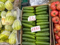 -蒲河大集