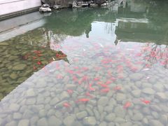 -祝家花園(伯渎港店)
