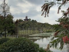 -东莞植物园