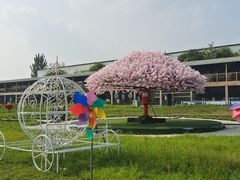 -北京鹿世界主题园