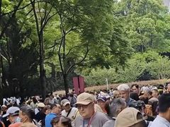 -人民公园-相亲角