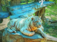 -北京野生动物园