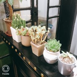 点击看大图 -M3 Hair Studio