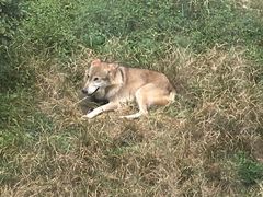 -黔灵山公园-南门售票处